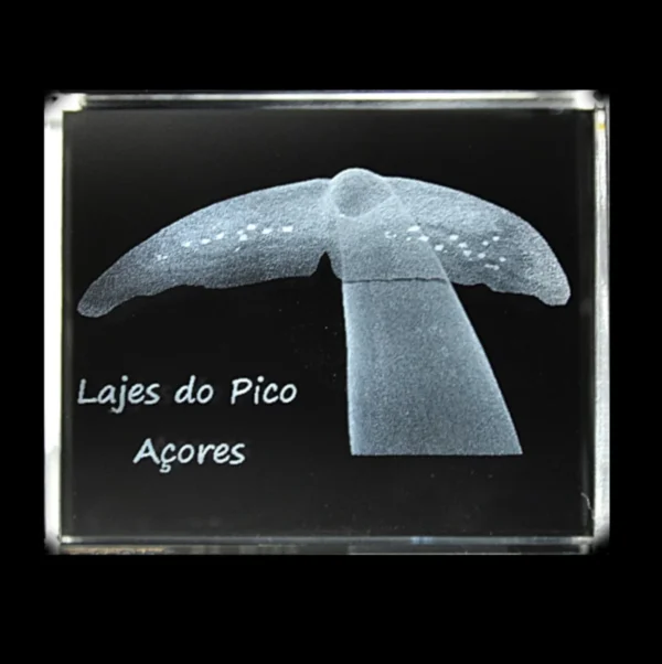 CR630-teste2- Paralelepípedo Cristal Cauda Cachalote – Lajes do Pico
