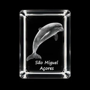 Paralelepípedo Cristal CR40 Golfinho - S. Miguel