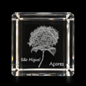 Cubo Cristal CR3 - Hortênsia S. Miguel