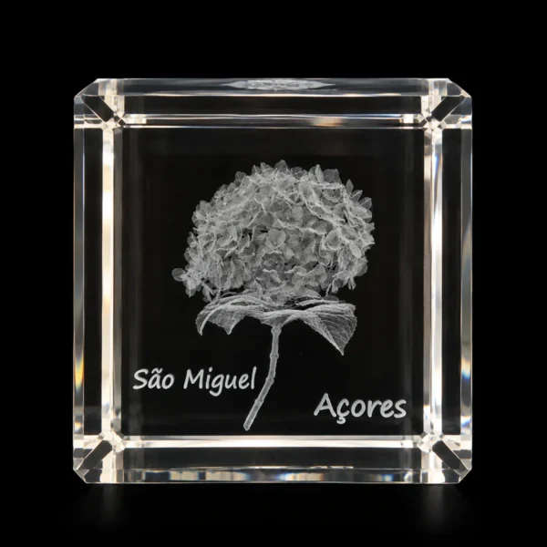 Cubo Cristal CR3 - Hortênsia S. Miguel