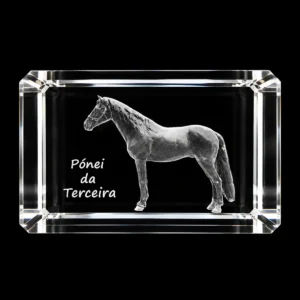CR216 Paralelepípedo Cristal CR6 - Pónei da Terceira