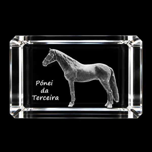 CR216 Paralelepípedo Cristal CR6 - Pónei da Terceira