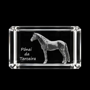 CR220 Paralelepípedo Cristal C1 Pónei daTerceira