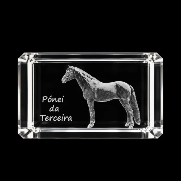 Paralelepípedo Cristal C1 Pónei daTerceira