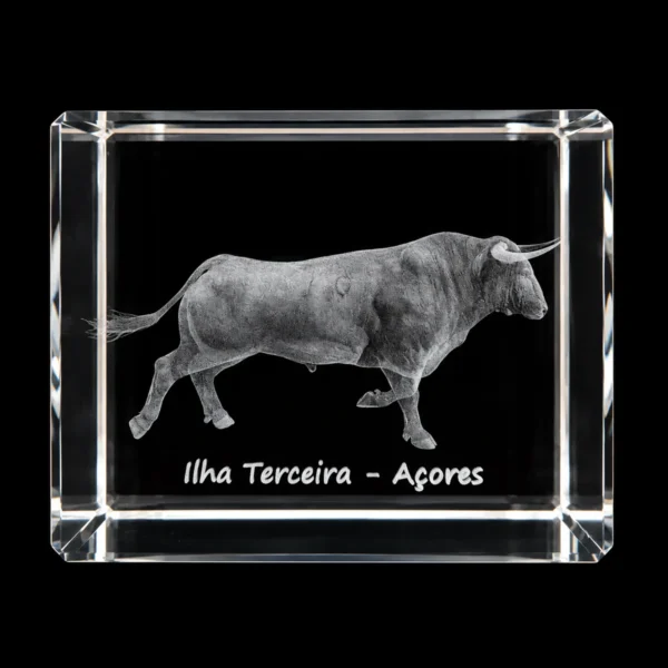 Paralelepípedo Cristal 706040 Touro
