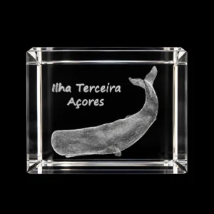 CR303 Paralelepípedo Cristal 504025 Cachalote-Terceira