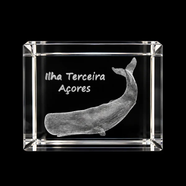 CR303 Paralelepípedo Cristal 504025 Cachalote-Terceira