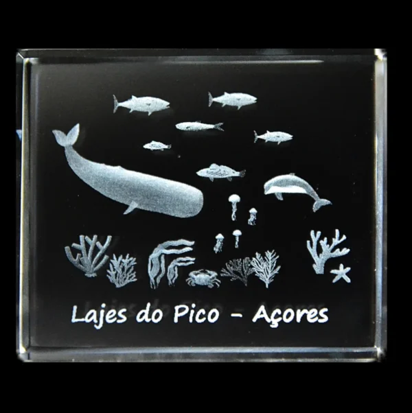 CR412-teste-2 Paralelepípedo Cristal 554530 - Fundo Mar - Lajes Pico