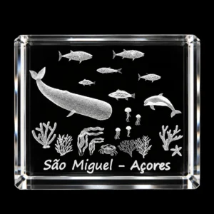 Paralelepípedo Cristal 554530 - Fundo Mar - S. Miguel