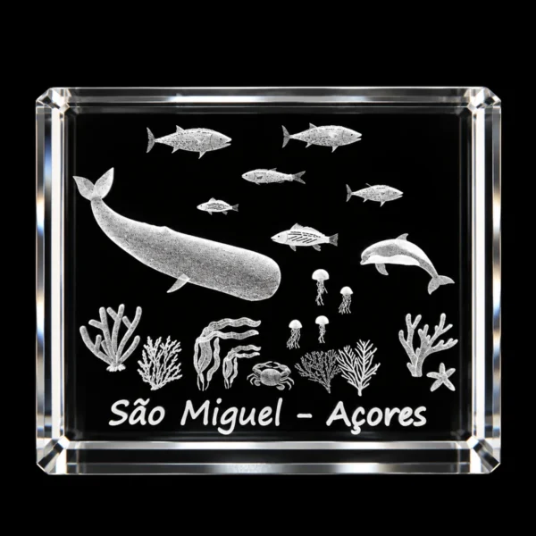 Paralelepípedo Cristal 554530 - Fundo Mar - S. Miguel