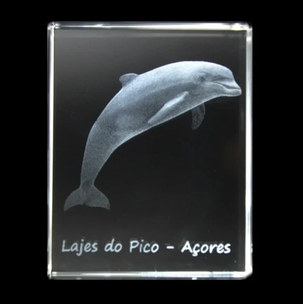 CR509-teste2 Paralelepípedo Cristal 504025 - Golfinho - Lajes do Pico