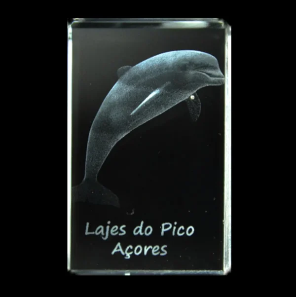 CR511-teste-2 Paralelepípedo Cristal CR40 - Golfinho - Lajes do Pico