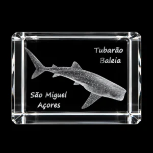 Paralelepípedo Cristal CR40 Tubarão Baleia - S. Miguel