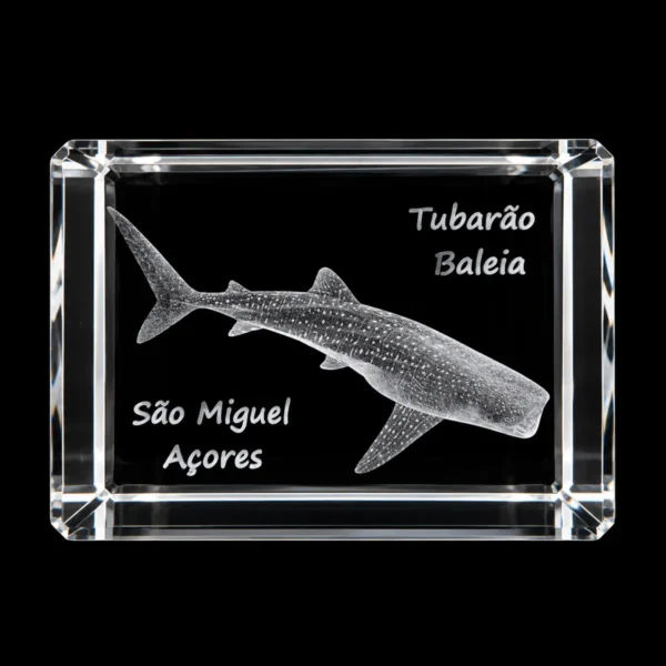 CR525_2 Paralelepípedo Cristal CR40 Tubarão Baleia - S. Miguel