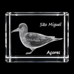 Paralelepípedo Cristal 504025 - Cagarro - São Miguel