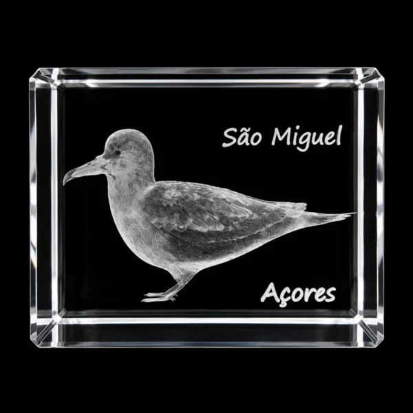 CR568_2 Paralelepípedo Cristal 504025 - Cagarro - São Miguel
