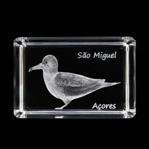 Paralelepípedo Cristal CR17 - Cagarro - São Miguel