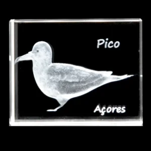 Paralelepípedo Cristal 504025 - Cagarro - Pico