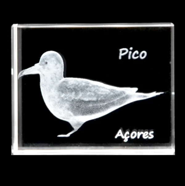 CR620 Paralelepípedo Cristal 504025 - Cagarro - Pico