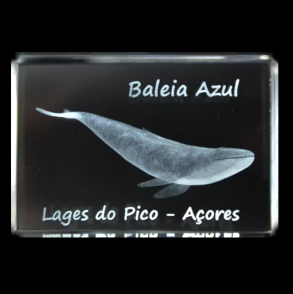 CR622-teste2 Paralelepípedo Cristal CR40 Baleia Azul - Lajes Pico