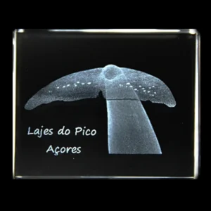 CR629-teste-2 Paralelepípedo Cristal 504025 Cauda Cachalote a Enrolar - Lajes Pico
