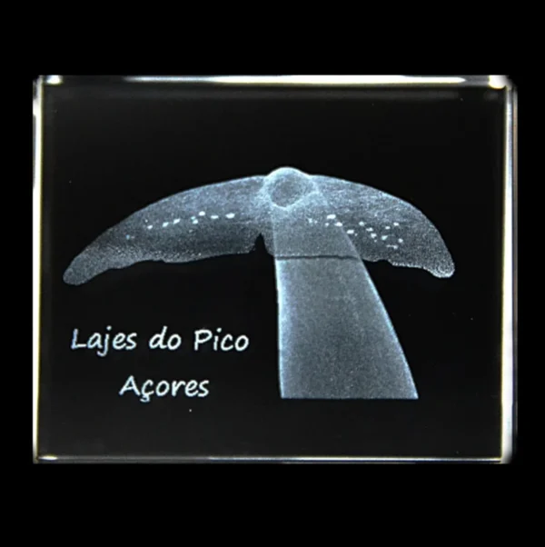 CR629-teste-2 Paralelepípedo Cristal 504025 Cauda Cachalote a Enrolar - Lajes Pico