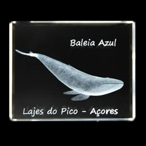CR632-teste-2_2 Paralelepípedo Cristal 504025 Baleia Azul - Lajes Pico