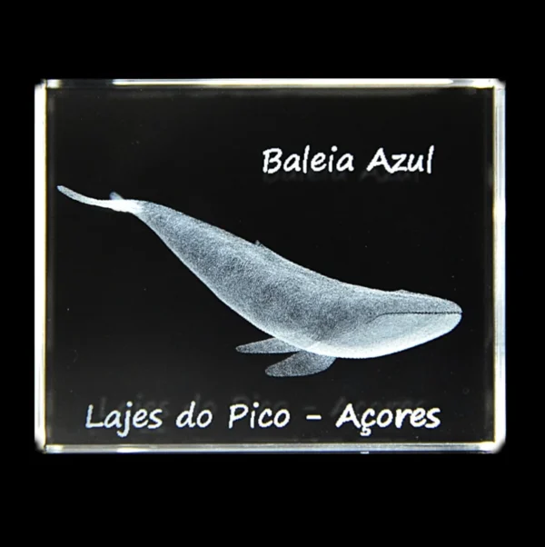 CR632-teste-2_2 Paralelepípedo Cristal 504025 Baleia Azul - Lajes Pico