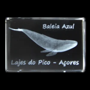 CR633-teste-2 Paralelepípedo Cristal CR17 Baleia Azul - Lajes Pico