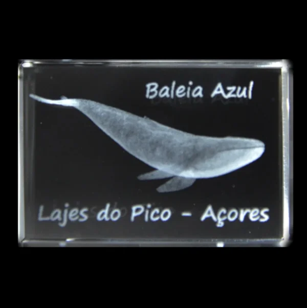 CR633-teste-2 Paralelepípedo Cristal CR17 Baleia Azul - Lajes Pico