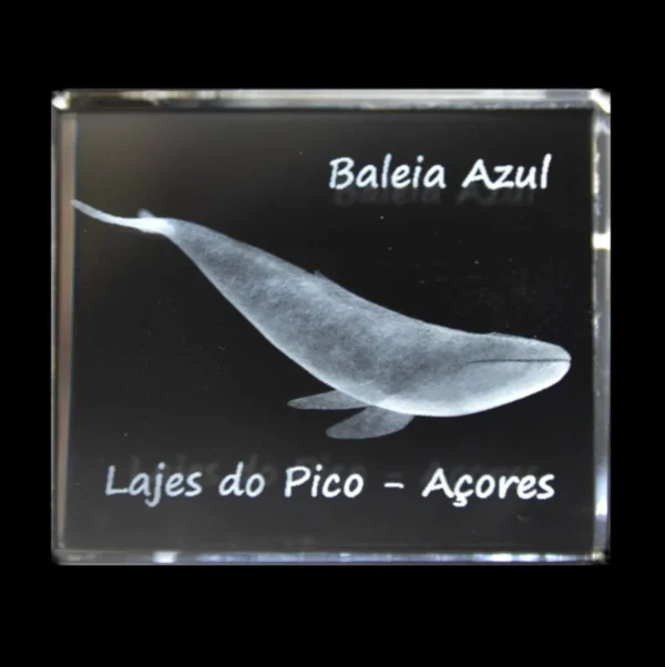 CR634-teste2- Paralelepípedo Cristal 554530 Baleia Azul - Lajes Pico