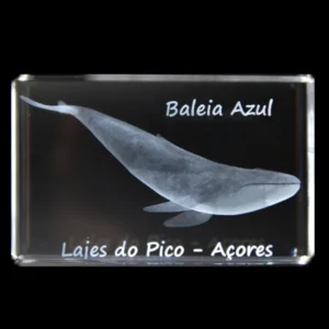 CR635-teste2- Paralelepípedo Cristal CR6 Baleia Azul - Lajes Pico