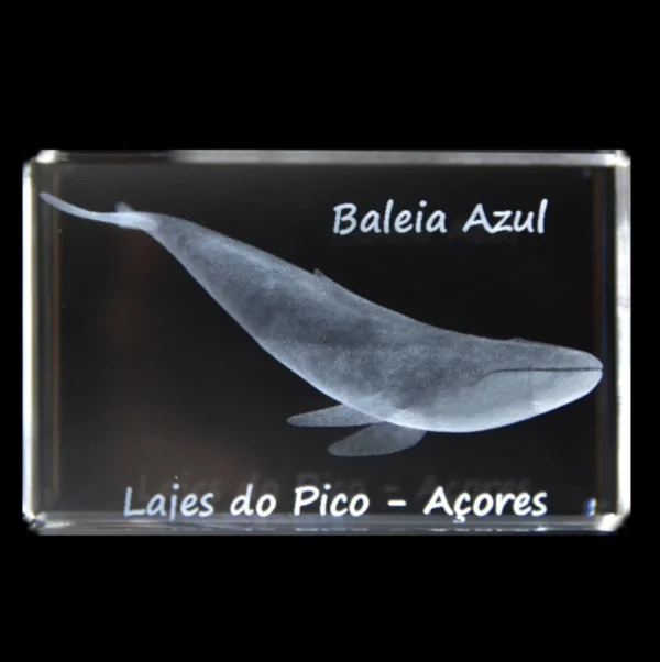 CR635-teste2- Paralelepípedo Cristal CR6 Baleia Azul - Lajes Pico