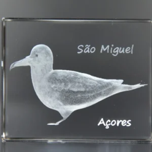 Paralelepípedo Cristal 603535 - Cagarro - São Miguel