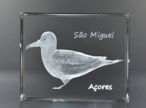 Paralelepípedo Cristal 603535 - Cagarro - São Miguel