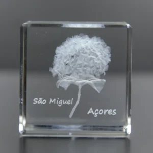 Paralelepípedo Cristal CR40 Hortênsia S. Miguel