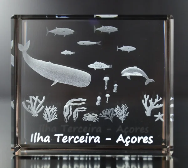 DSC_8629_2 Paralelepípedo Cristal 554530 - Fundo Mar - Terceira
