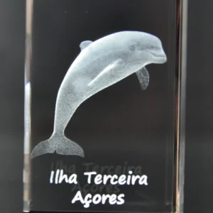 DSC_8633 Paralelepípedo Cristal CR17 Golfinho-Terceira