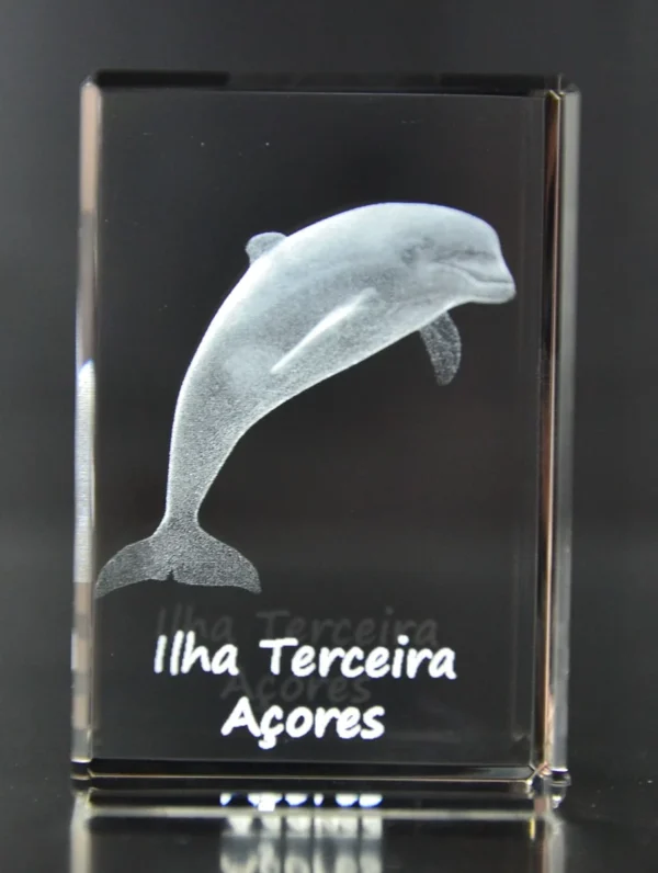 DSC_8633 Paralelepípedo Cristal CR17 Golfinho-Terceira