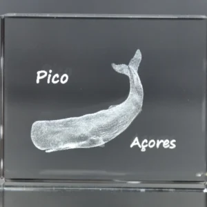 Paralelepípedo Cristal C1 Cachalote-Pico