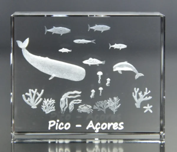 Paralelepípedo Cristal 706040 - Fundo Mar - Pico