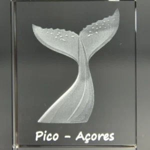 Paralelepípedo Cristal C1 Cauda Baleia - Pico