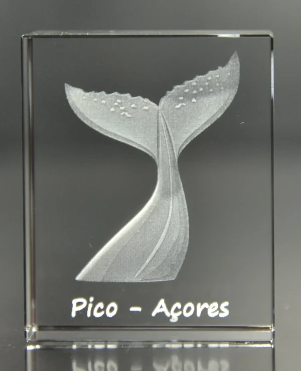 Paralelepípedo Cristal CR40 -  Cauda Baleia - Pico