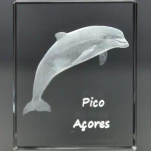 DSC_8687_3 Paralelepípedo Cristal CR17 Golfinho-Pico
