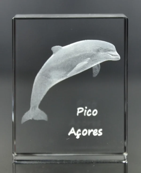 DSC_8687_3 Paralelepípedo Cristal CR17 Golfinho-Pico