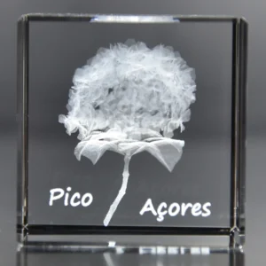 Cubo Cristal CR21 - Hortênsia - Pico