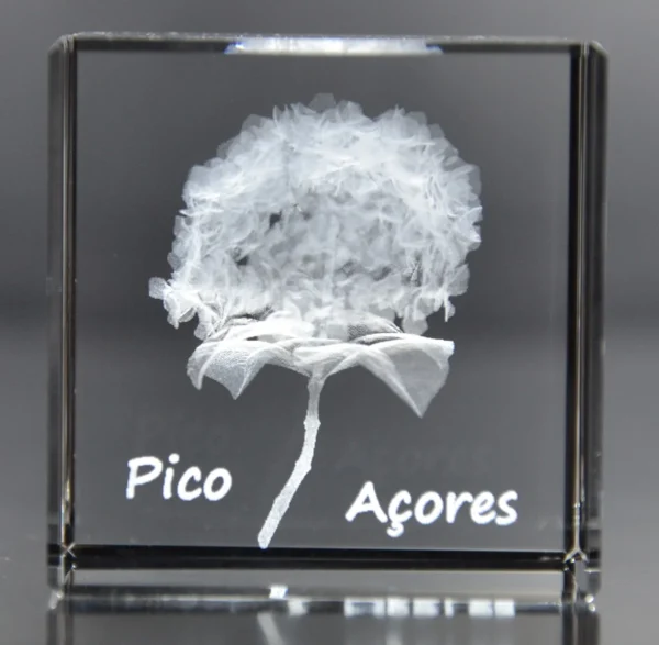 Cubo Cristal CR21 - Hortênsia - Pico