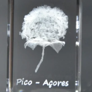 Paralelepípedo Cristal C1 Hortênsia - Pico