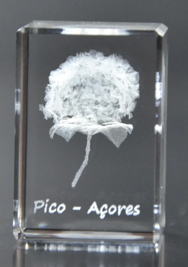 Paralelepípedo Cristal C1 Hortênsia - Pico