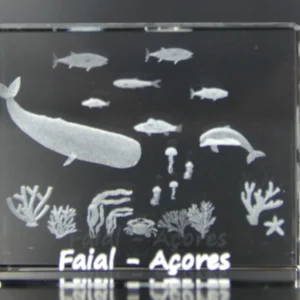 Paralelepípedo Cristal 554530 - Fundo Mar - Faial